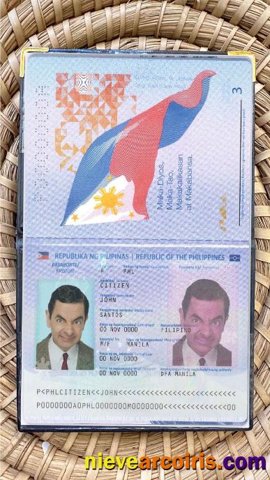 Philippines passport photolook